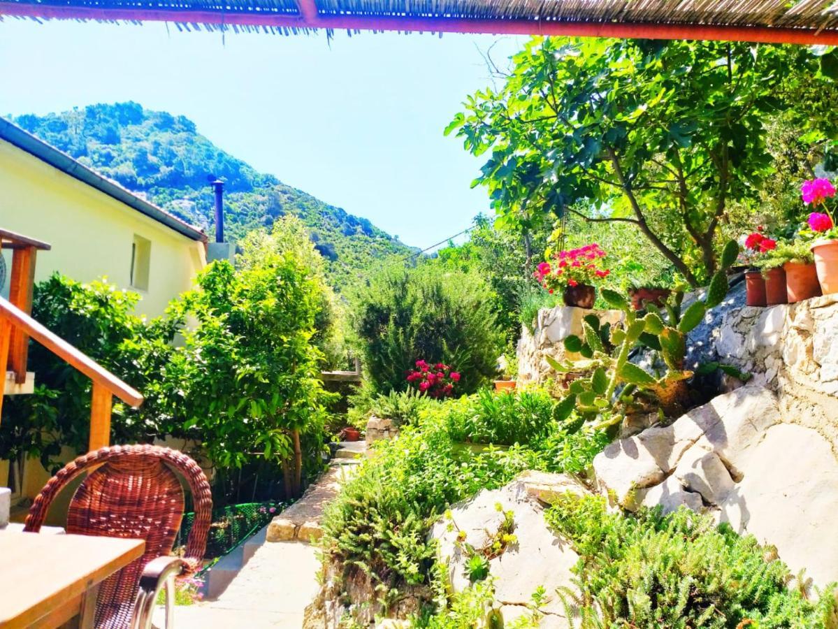 Villa Anita Sobra Εξωτερικό φωτογραφία